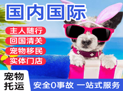 长春机场货运国际宠物托运 【国